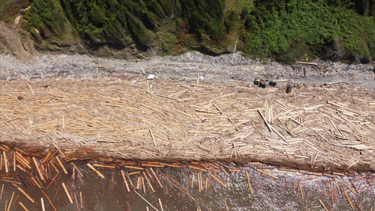 Selin sürüklediği 35 bin ton tomruk toplanıyor