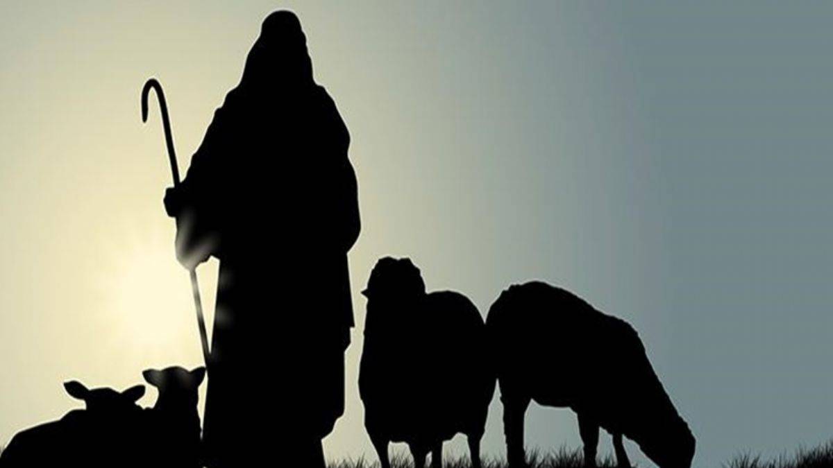 Peygamberler neden çobanlık yaptılar?