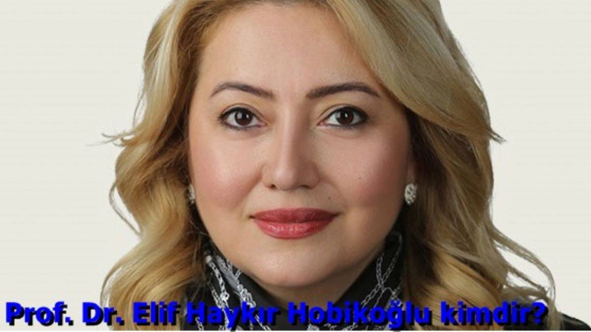 Prof. Dr. Elif Haykır Hobikoğlu kimdir? Merkez Bankası PPK üyesi Hobikoğlu nereli, kaç yaşında?