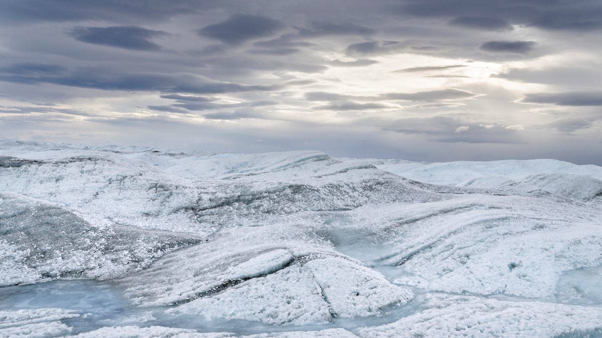 Grönland’daki buzulların zirvesine ilk kez yağmur yağdı