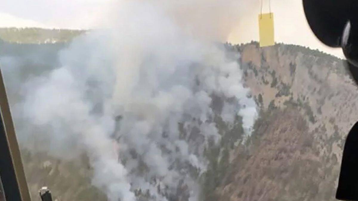 Adana'da orman yangını çıktı