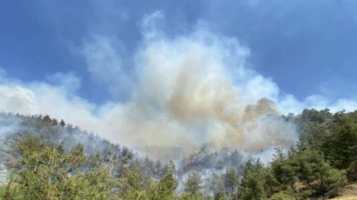 Muğla'da orman yangını