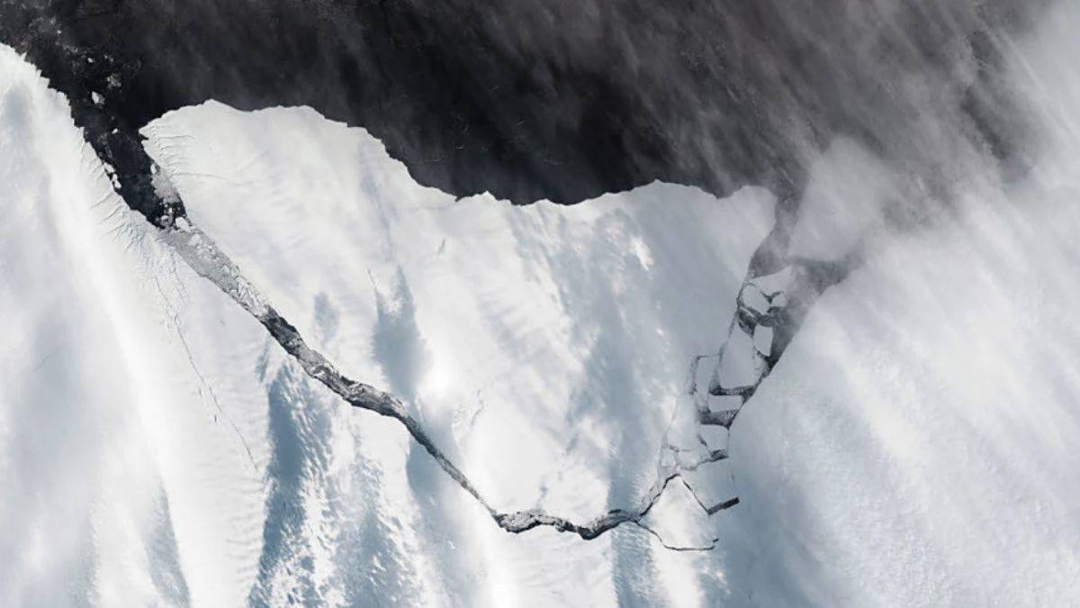 Dev buzdağı, ana buz sahanlığına çarpmaktan kıl payı kurtuldu
