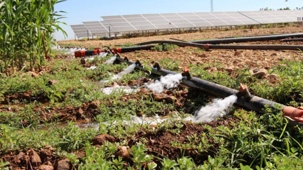 Sulama için güneş sistemi kurdu, elektrik masrafından kurtuldu