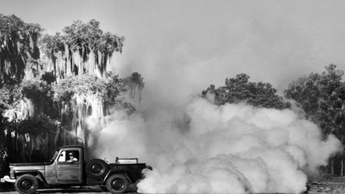 Sivri sineklerle 'tarihi' mücadele