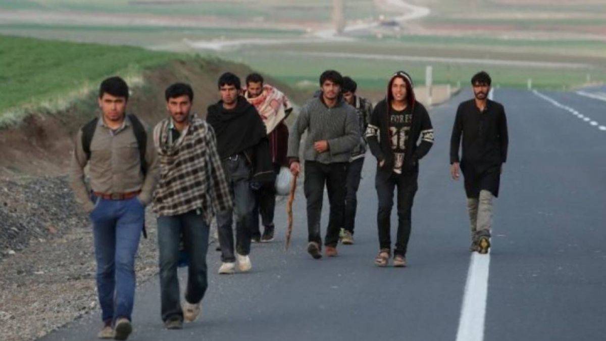 Hatay'da 43 düzensiz göçmen yakalandı