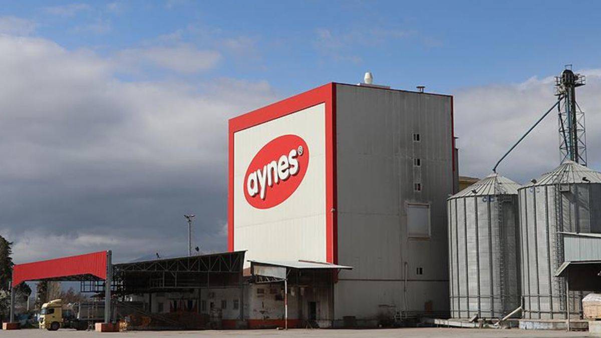 TMSF, Aynes Gıda’yı satışa çıkardı