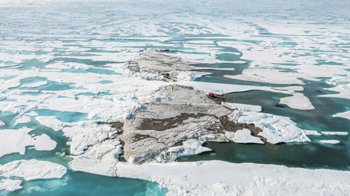 Bilim insanlarını hayrete düşüren keşif