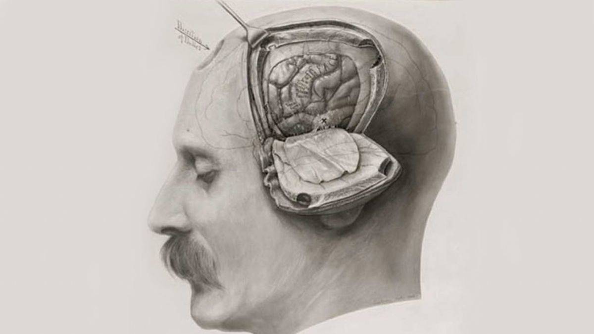 Yaşlanan beyinler daha mı akıllı?