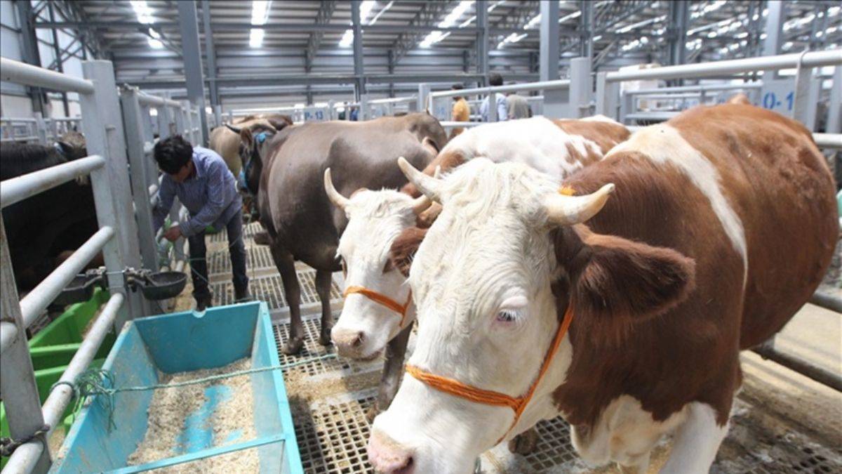 Büyükbaşa 95 milyonluk tazminat