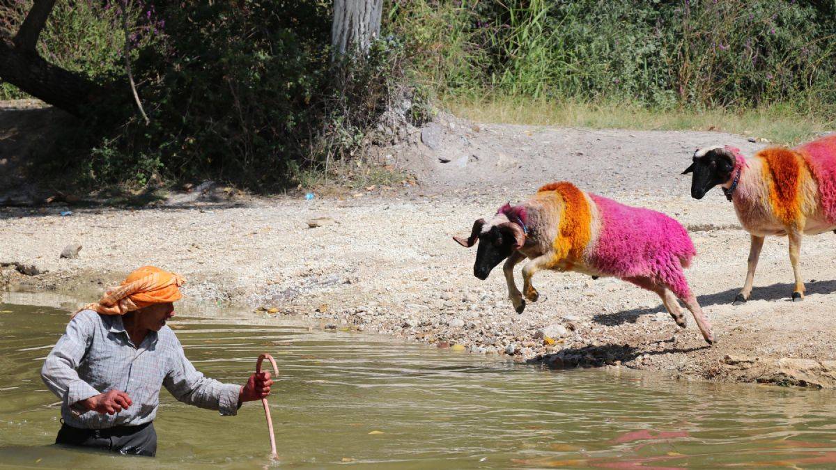 Denizli'de 8 asırlık gelenek