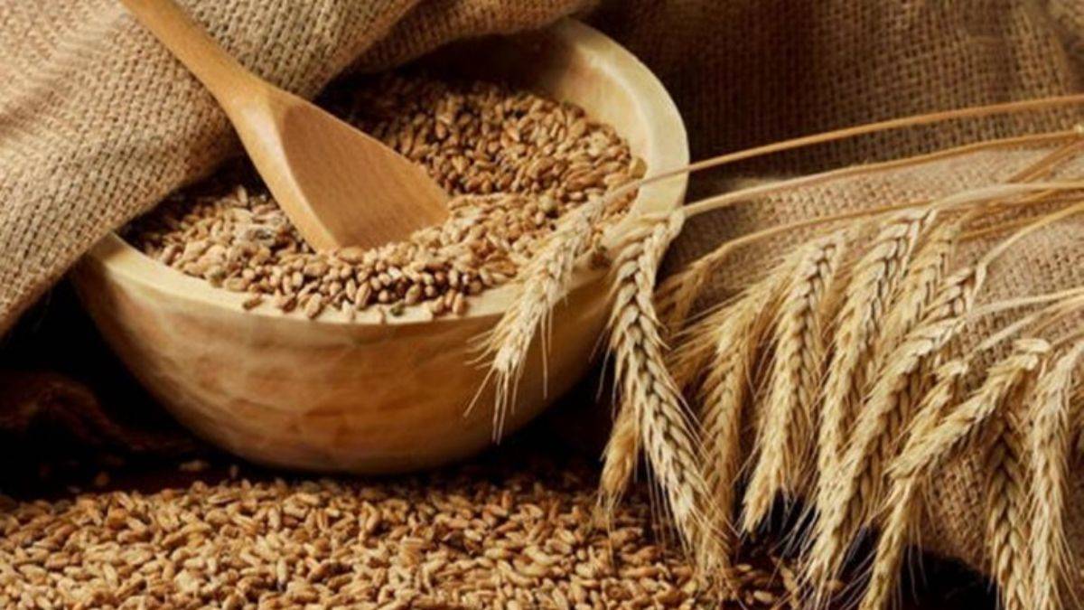 Yerli tohumun 'kökenine' bakış