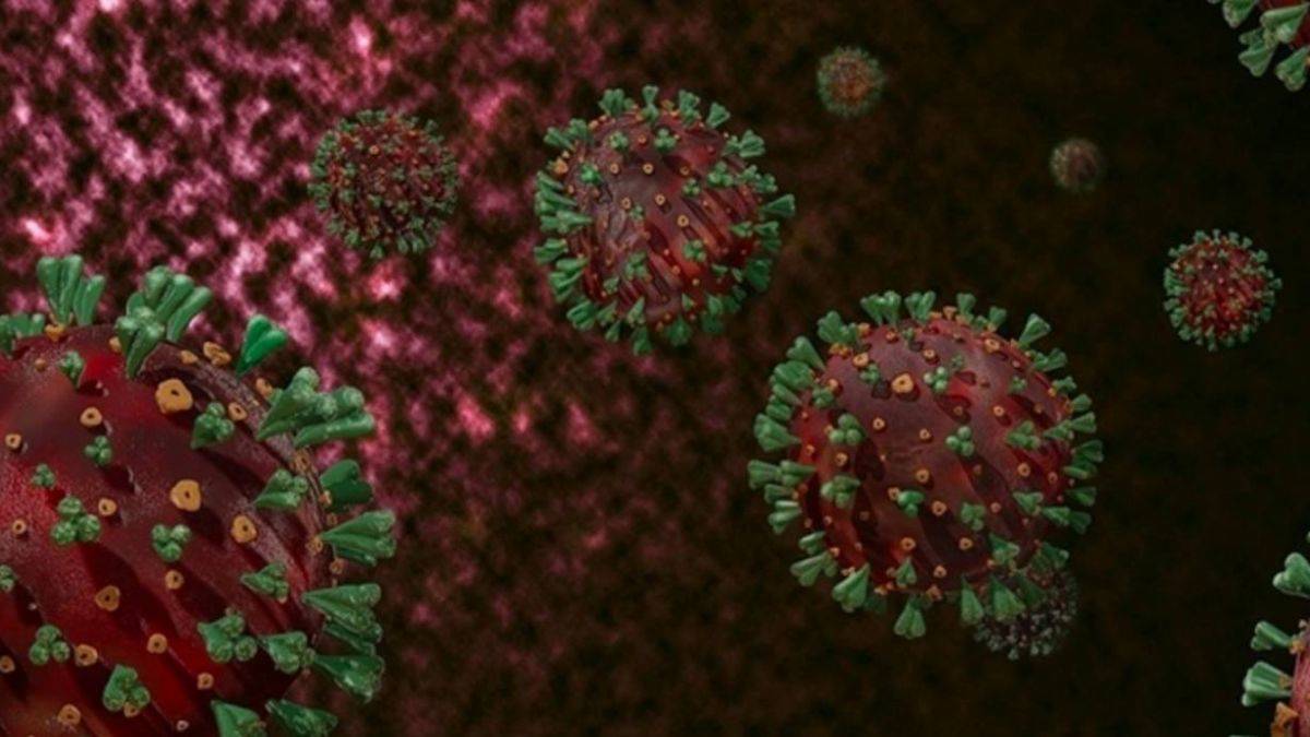 C.1.2 mutasyonu nedir? Koronavirüs C.1.2 mutasyonu ölümcül mü?