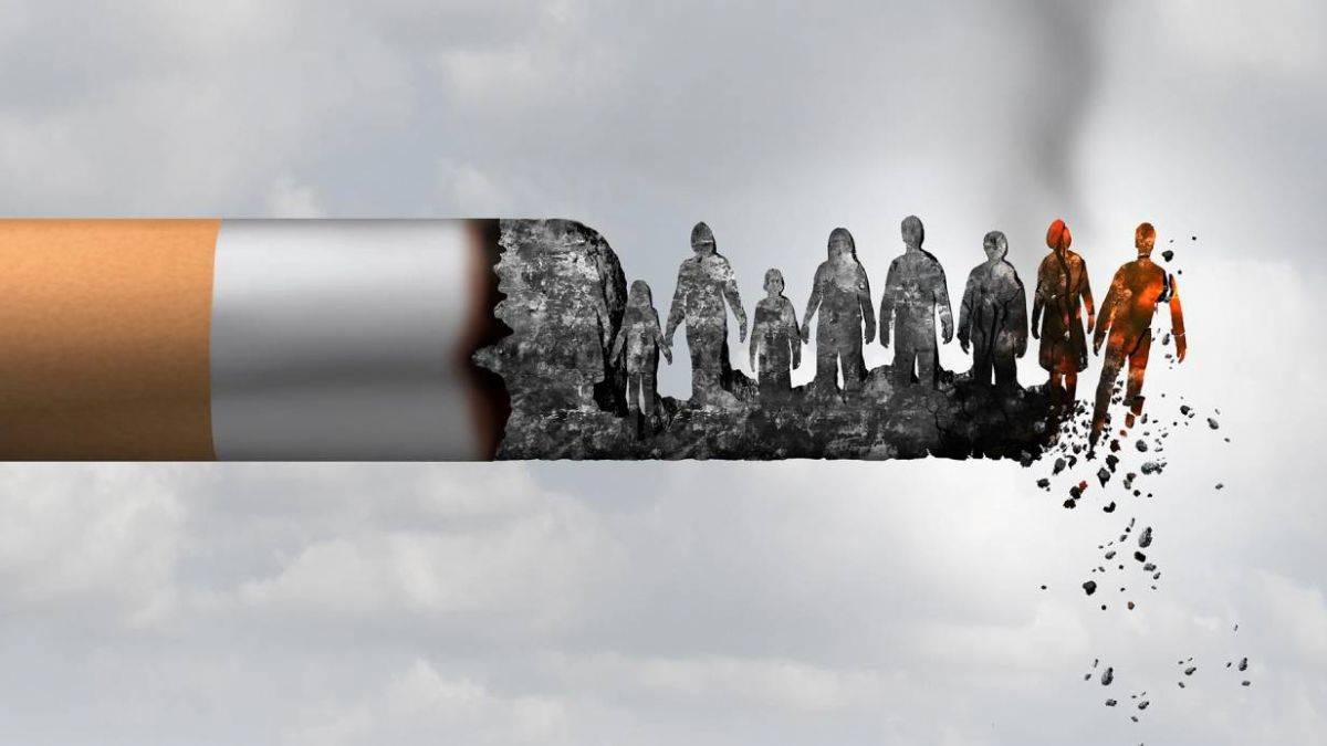 Kısa Camel fiyat ne kadar? Uzun Camel kaç lira?