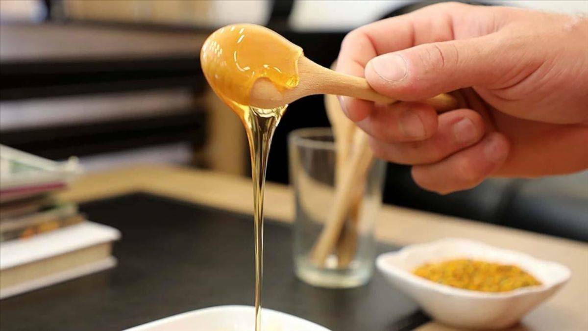 Anzer balının kilosu 1200 TL oldu