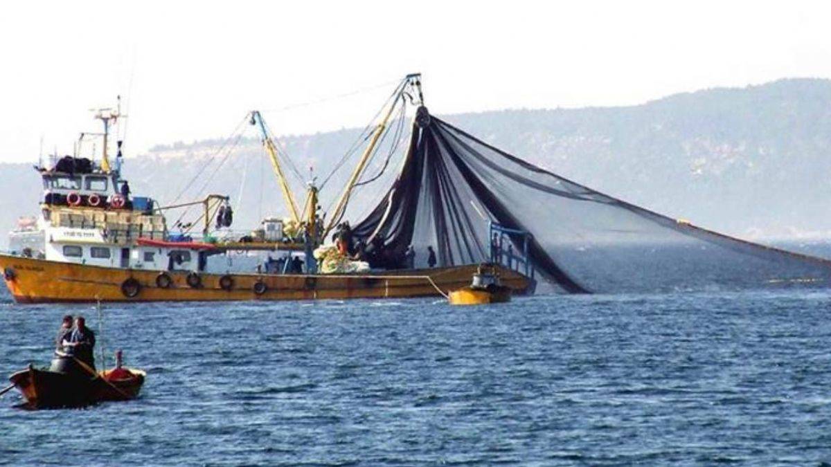 Av sezonu başladı mı? Denizlerde balık avı ne zaman başlayacak?
