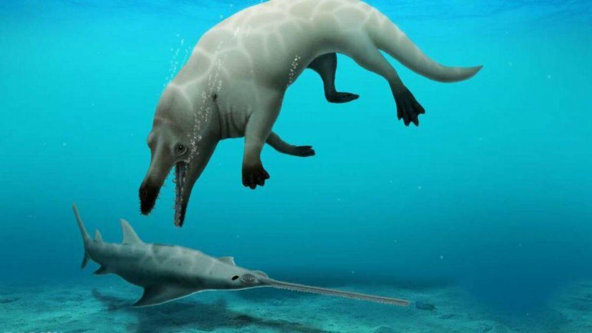 Dört bacaklı ve karada hayatta kalan balina türü