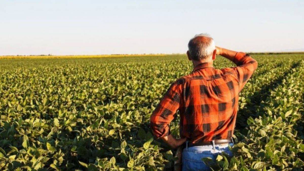 2021 çiftçi destek ödemesi kimlere yapılacak? Çiftçi destek ödemesi ne kadar?