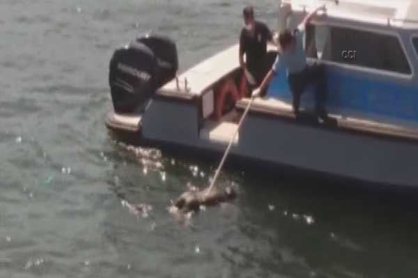 Haliç'te erkek cesedi bulundu