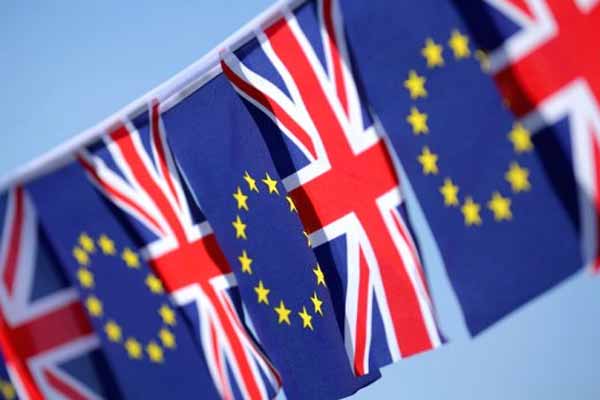 İngiltere'deki Türkler AB'de kalmak istiyor