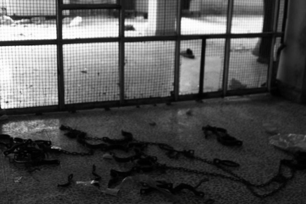 17 Filistinli mülteci Suriye zindanlarında işkence altında can verdi