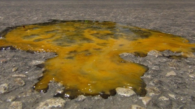 Asfaltta yumurta pişti