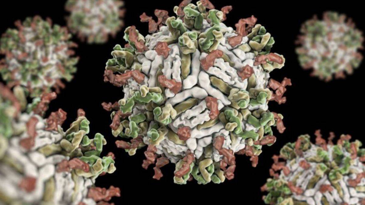 Bir ölümcül salgın daha