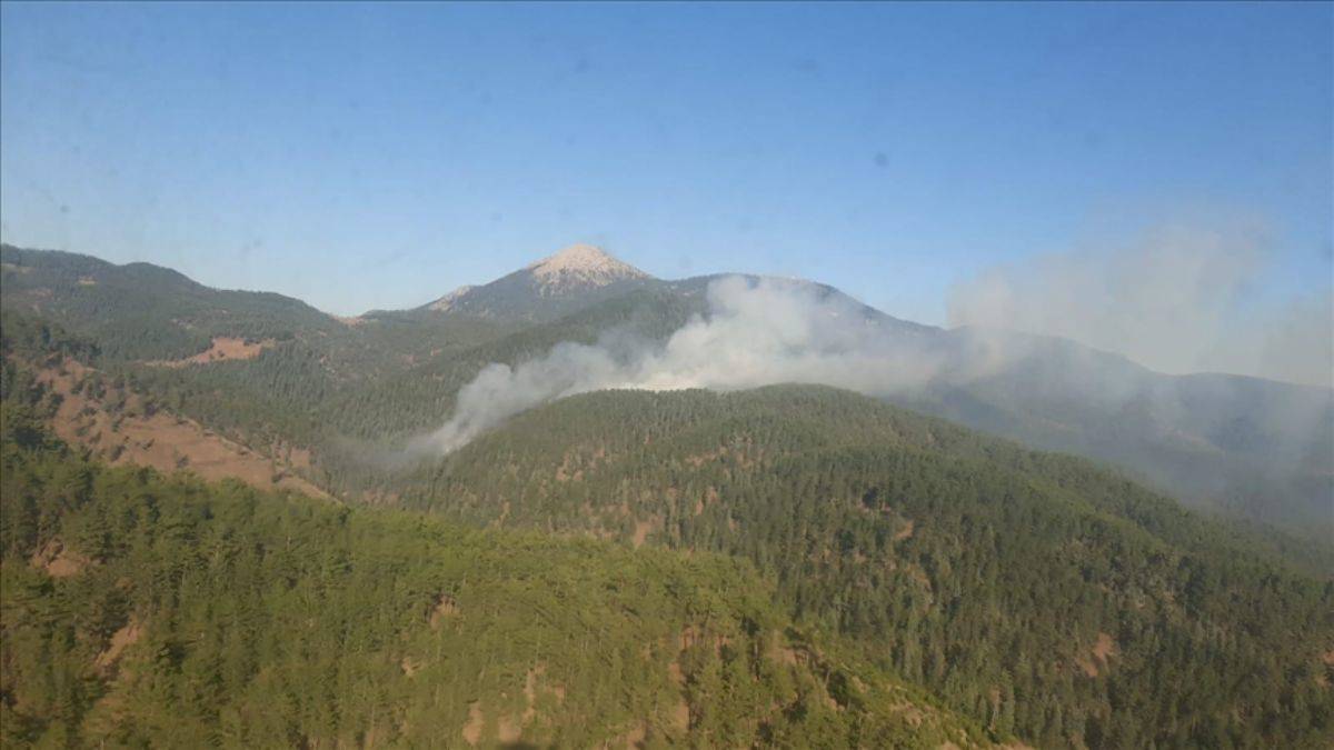 Adana'da orman yangını