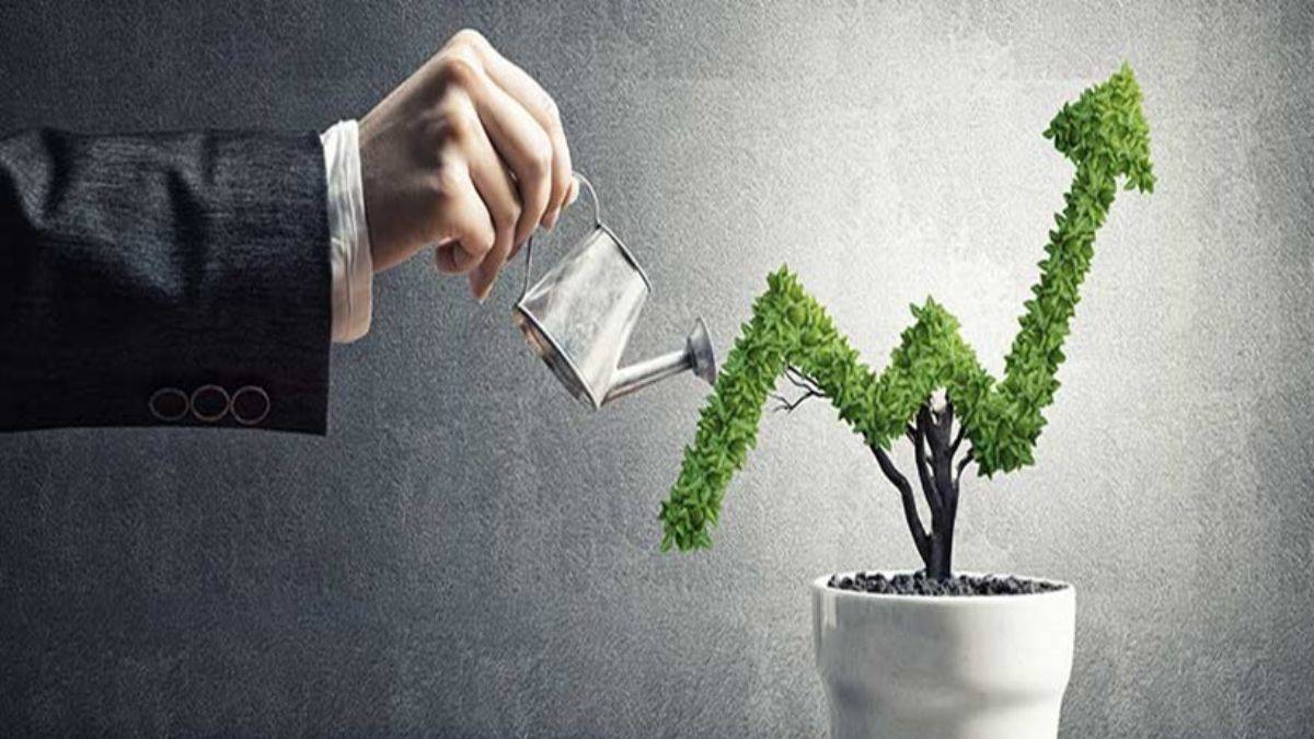 Türkiye'nin iş ve girişim profili