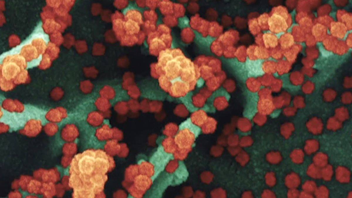 Florida en ölümcül salgın dalgasına maruz kaldı