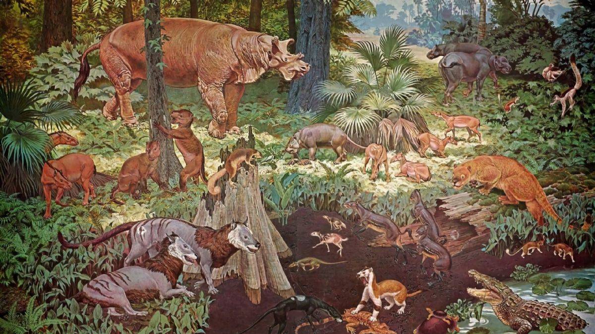 Yaklaşık 50 milyon yıl önce dünya daha sıcaktı… İklim değişimi nasıl bu hale geldi?