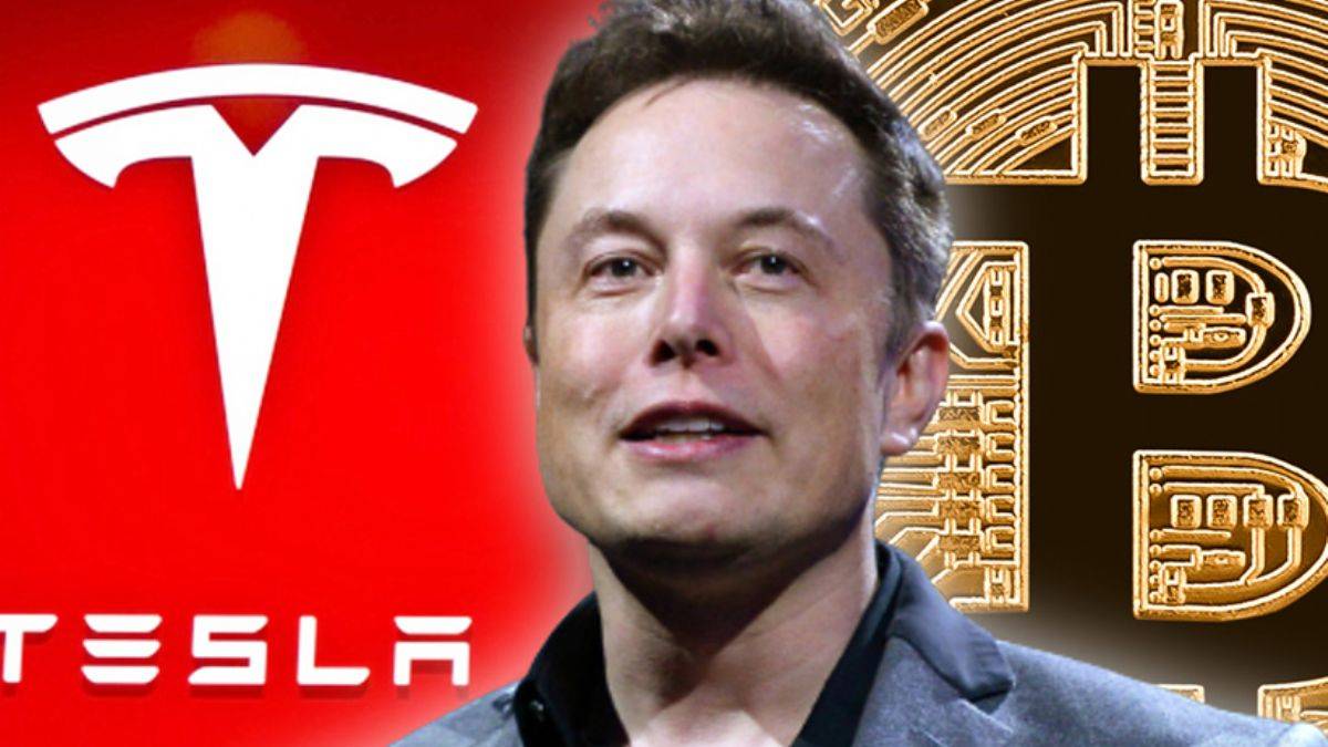 Elon Musk’ın 'u dönüşü', Bitcoin’in boğa koşusuna engel olamadı
