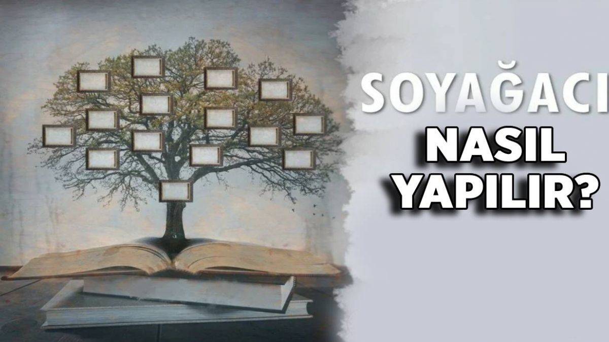 E-Devlet soyağacı nasıl yapılır? Soyağacı nasıl yapılır? Soyağacı tasarlama nasıl yapılır?