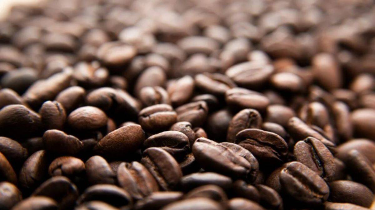 Kahve tiryakilerine iklim değişikliği uyarısı: Yüzde 60’ı tükeniyor