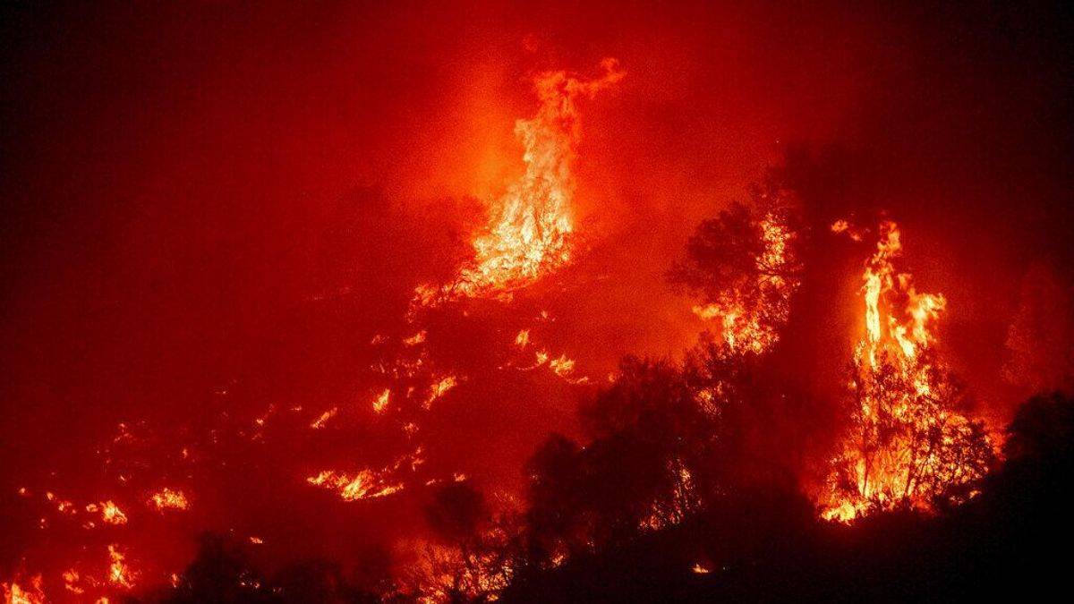 California'daki yangınlarda itfaiyeciler dünyanın en büyük ağacını kurtarmaya çalışıyor