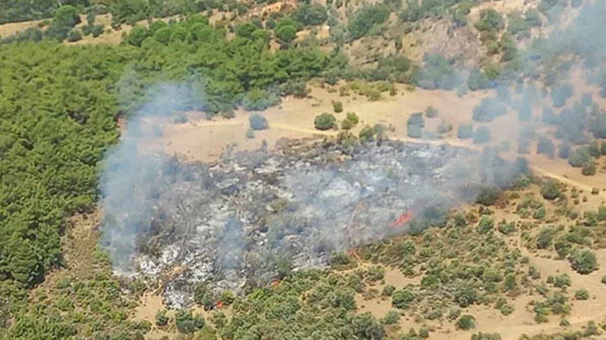 İzmir'de orman yangını