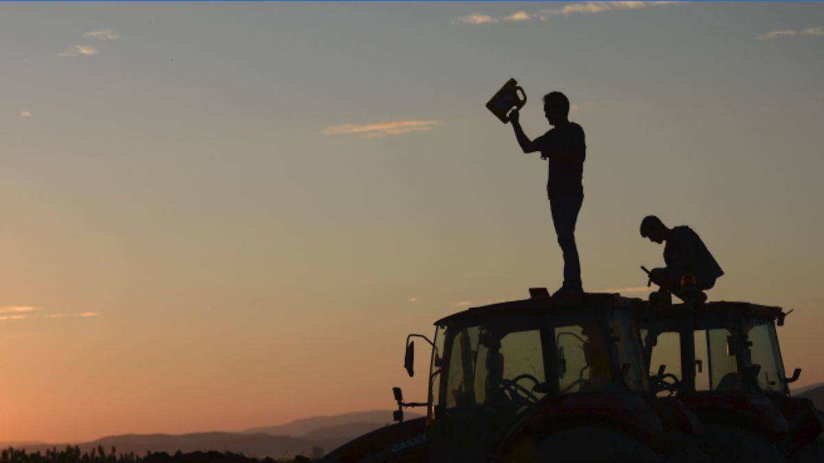 Kahramanmaraşlı çiftçilerin kuşlara karşı traktörleriyle 'akdarı' nöbeti