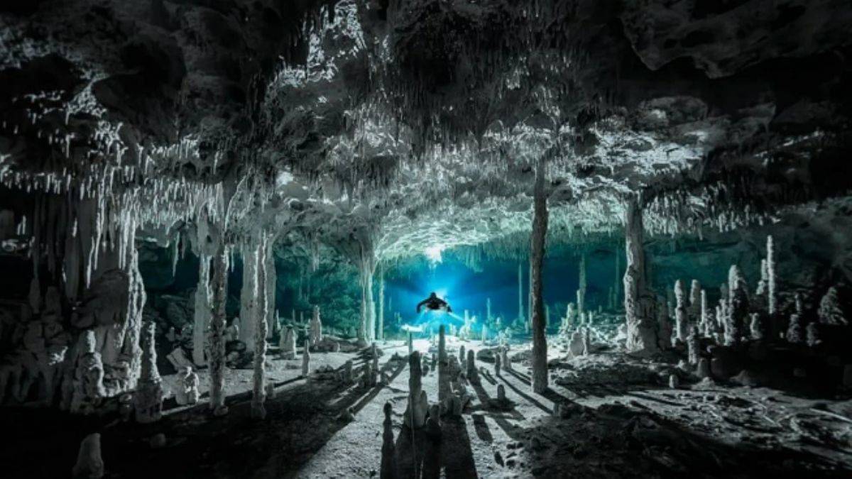 2021 Okyanus Fotoğrafları Yarışması'nın kazananları belli oldu