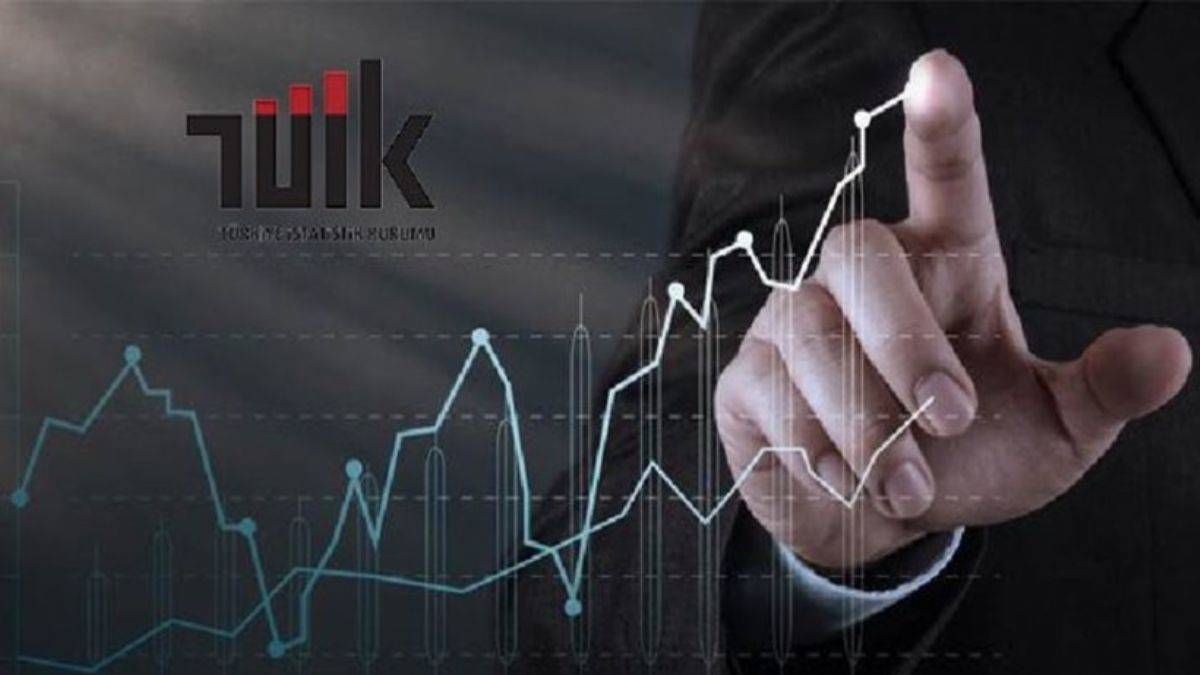 Türkiye'nin sayılarla röntgeni çekiliyor