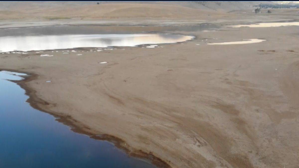 Kuraklık tarımın ve kuşların hayat kaynağı Patnos Barajı'nı da vurdu