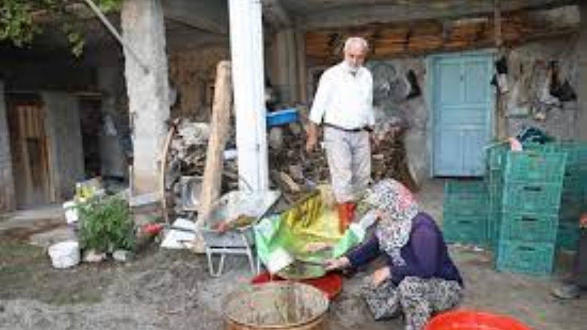 Üzümüyle ünlü Kalecik'te pekmez mesaisi