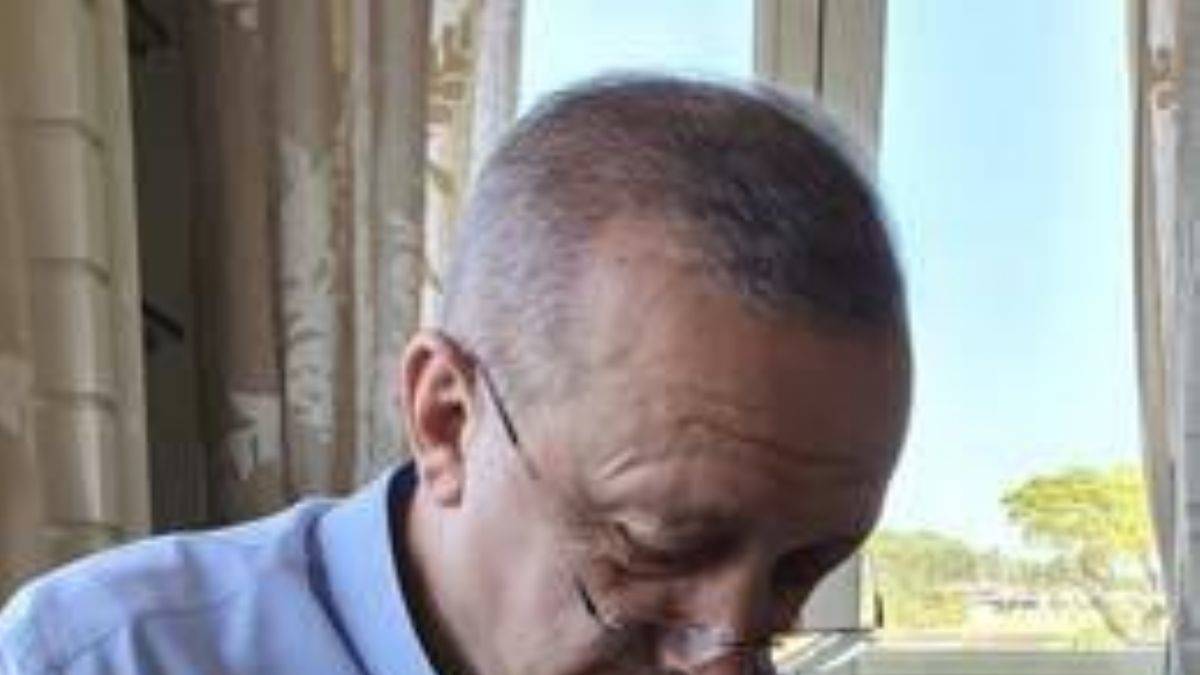 Cumhurbaşkanı Erdoğan kucağında torununun kedisi gazete okudu