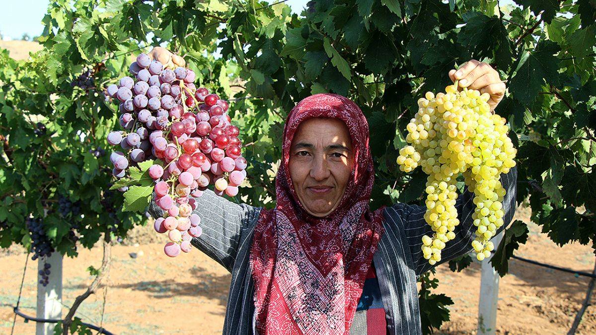 Devlet desteğiyle kurdu; şimdi ihracatı hedefliyor