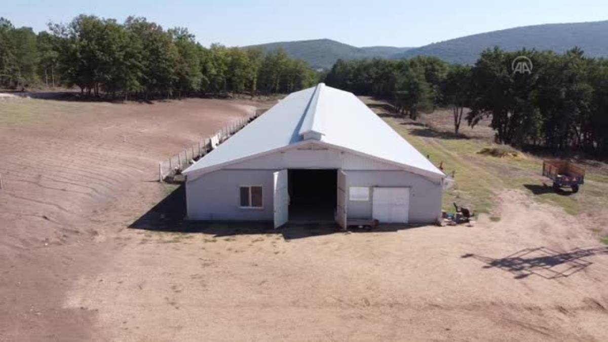 AVM yöneticiliğini bıraktı, köyünde peynir üretiyor