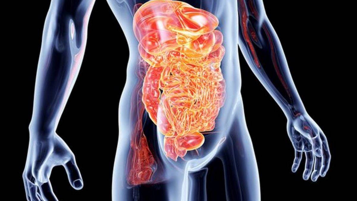 Kilo vermekte zorlanıyorsanız geçirgen bağırsak sendromunuz olabilir