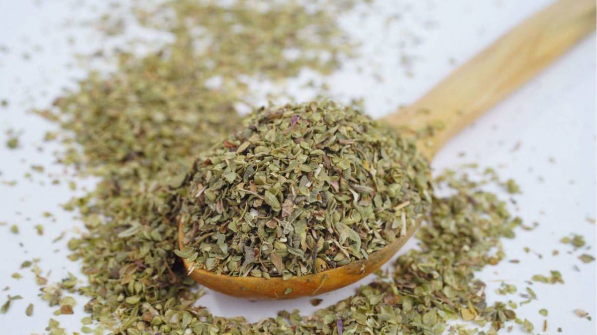 Mucize bitki kekikten ekonomiye 1 milyar lira katkı