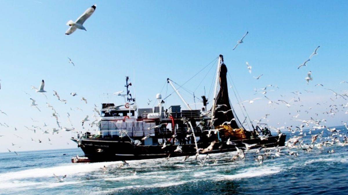 Marmara'dan sonra Karadeniz de ölüyor