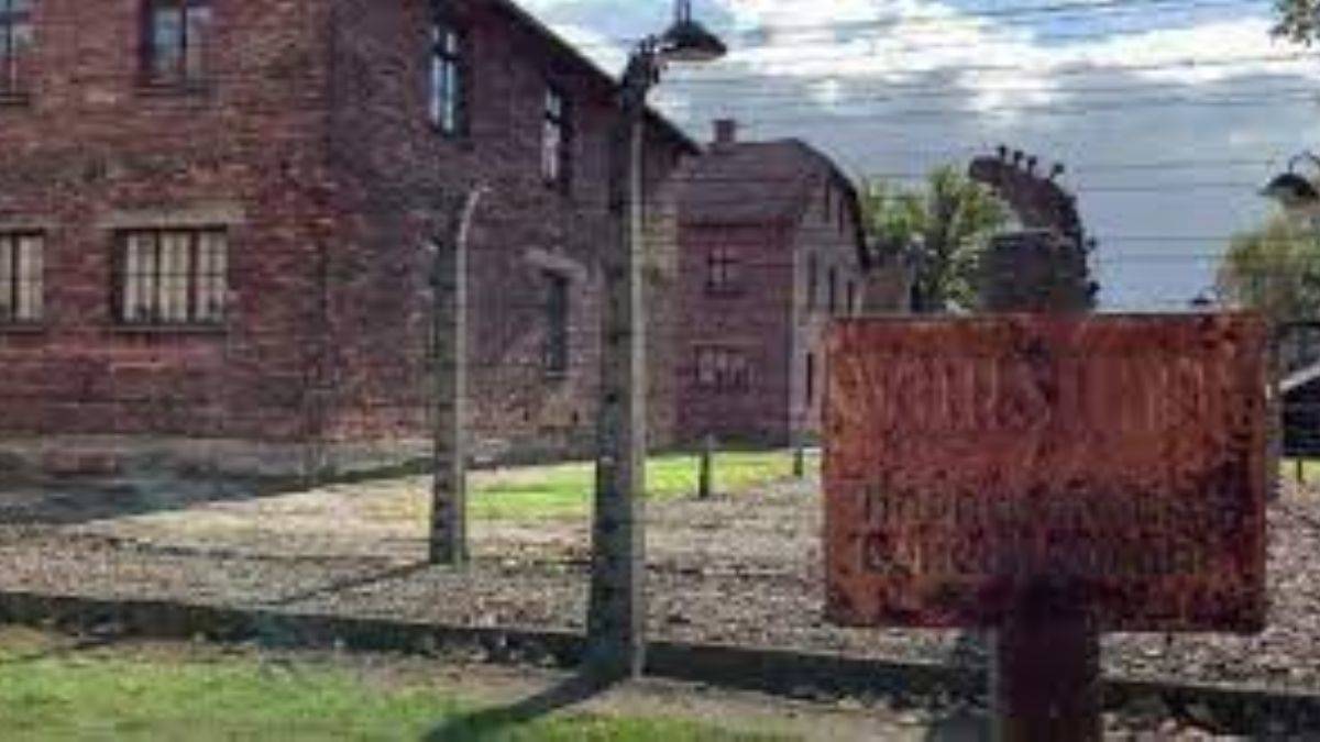 11 bin kişinin öldürülmesine yardımla suçlanıyor: Nazi kampı sekreteri 96 yaşında hakim karşısında