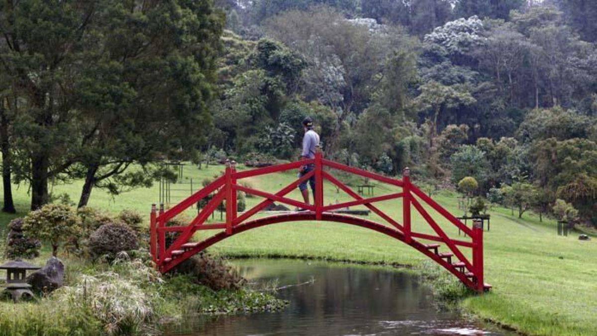 Kolombiya'nın kahve bölgesi Manizales'in doğası ziyaretçilerini cezbediyor