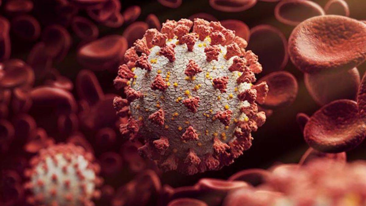 Koronavirüsün bir yan etkisi daha ortaya çıktı